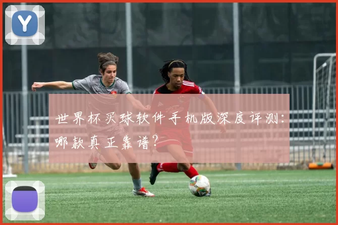 世界杯买球软件手机版深度评测:哪款真正靠谱?