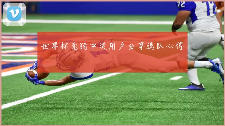世界杯竞猜中奖用户分享选队心得