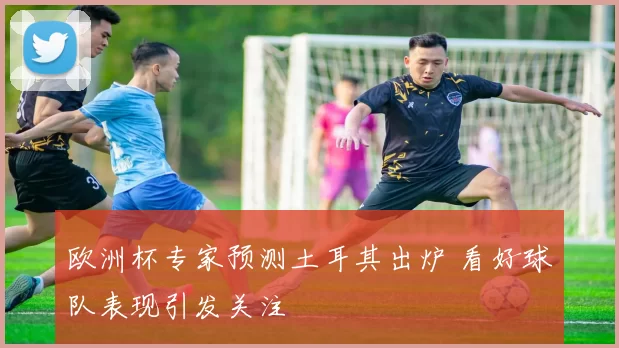 欧洲杯专家预测土耳其出炉 看好球队表现引发关注