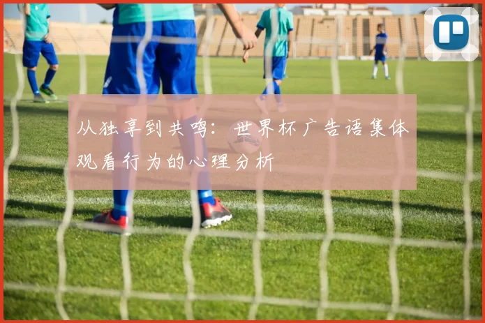 从独享到共鸣：世界杯广告语集体观看行为的心理分析